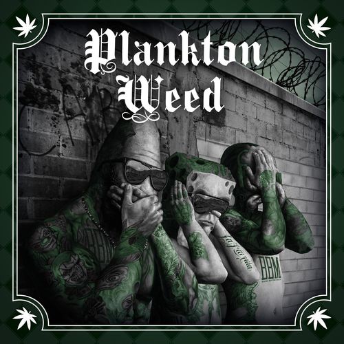 SpongeBozz - Planktonweed Tape (Premium Edition) (2015)