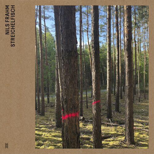 Nils Frahm - Streichelfisch (Remastered) (2022)