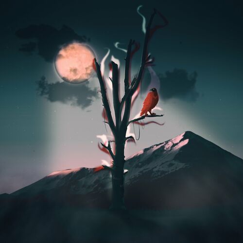 Al Kareem & morten - Moonshine (2022)