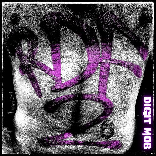 DIGIT MOB, Delano & DJ Stylewarz - Richtig dickes Fell 2 (2022)
