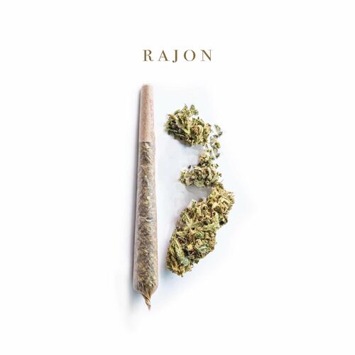 Kalazh44 - Rajon 13 (2024)