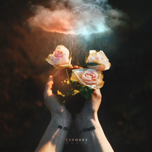Liaze - NO RAIN NO FLOWERS (2025)