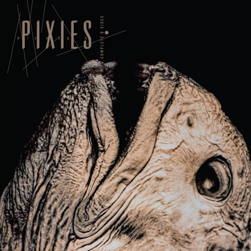 Pixies - Complete B Sides: 1988-97 (Remaster) (2026)